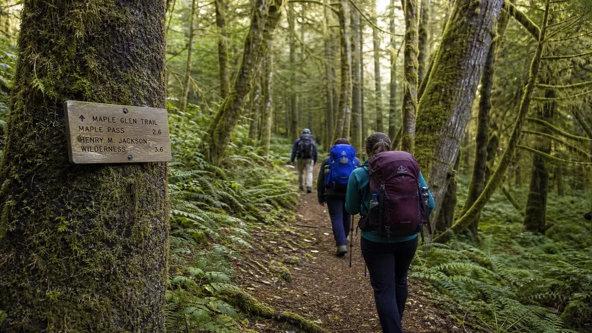 Hiking Trails forest guide illustration