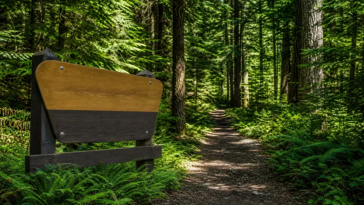 National Forests forest guide illustration